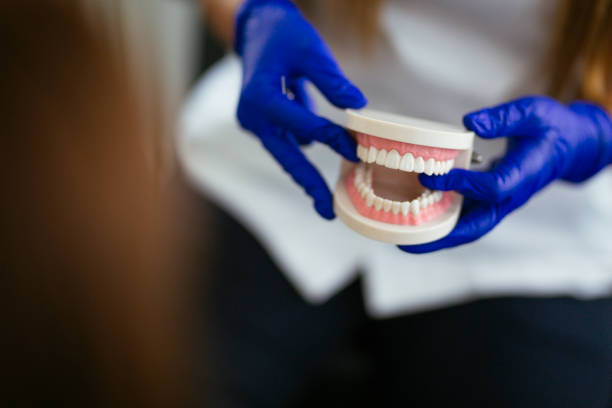 Best Preventive Dentistry  in Rochelle, IL